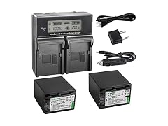 Kastar LCD Dual Smart Fast Charger & 2 x Battery