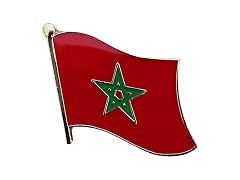 Flagline Morocco Flag Metal Single Lapel Pin