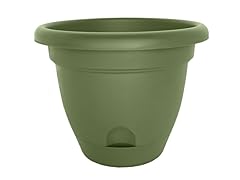 12" Lucca Planter Living Green