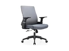Leisuremod Brio Ergonomic Office Chairs