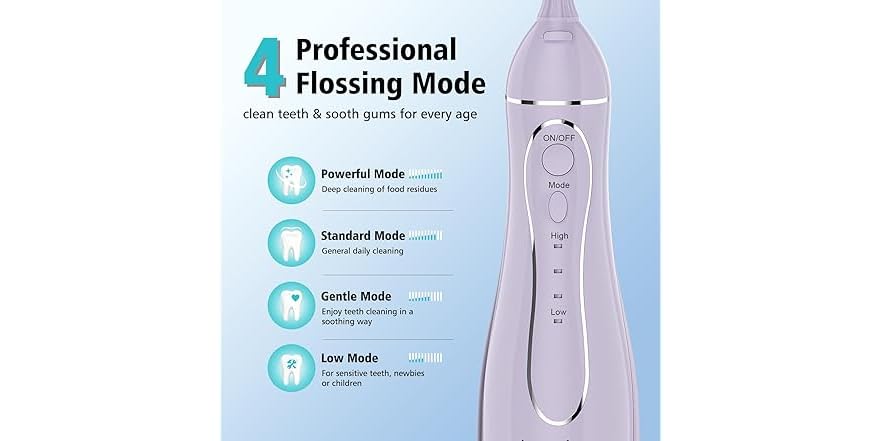 Leominor Water Dental Flosser Pick