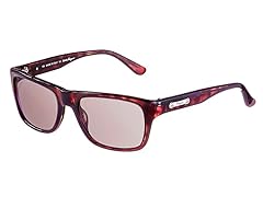 Ferragamo Women's Sunglasses