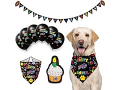 BILLS Dog Birthday Party Set (L/XL)