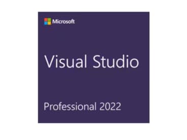 Microsoft Visual Studio Professional 2022