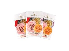 Paper House Productions Rose Garden 24-Piece
