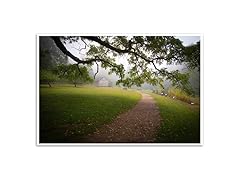 Tree Overhead - Blue Ridge Parkway, Virginia