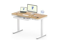 FLEXISPOT Comhar Electric Standing Desk