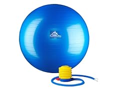 Black Mountain Stability Ball Pro