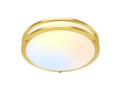 10 Inch LED Flush Mount Ceiling Light, 1Pk