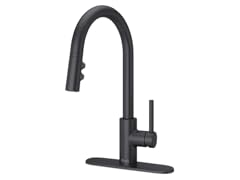 Pfister Matte Black Kitchen Faucet