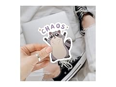 3pc Raccoon Chaos Sticker Meme