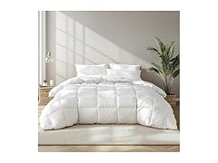 Beautyrest Luxury 100% Cotton Comforter
