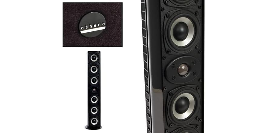 Additional Speaker For The Chase Technologies WS-5500, 900