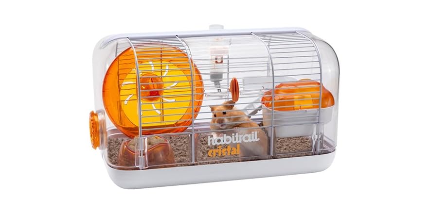 Новый combo hamster. Новый combo hamster