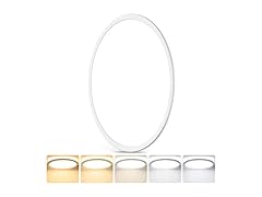 GoBright 20 Inch Flush Mount Ceiling Light