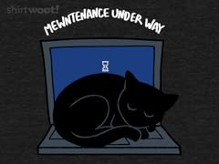 Regular Mewntenance