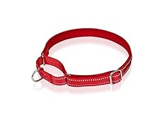 Reflective Martingale Dog Collar