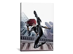 Marvel Avengers: Black Widow (2 Sizes)