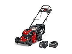 Cordless Electric 19" Mower 2x Battery