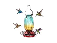 Green Glass Hummingbird Feeder