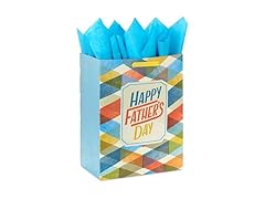 Hallmark 17" Father's Day Gift Bag