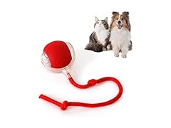 (2 Pack) Interactive Rolling Cat Ball