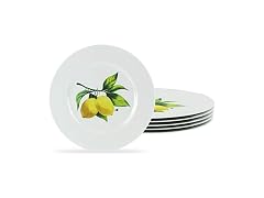 Calypso Basics Melamine Salad Plates Set of 6