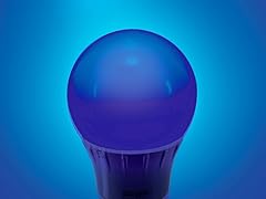 Blue LED A19 Light Bulb - 2 Pack