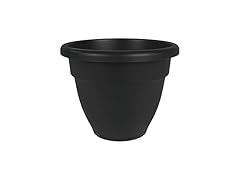 The HC Companies Caribbean Planter