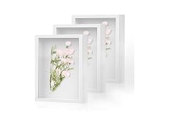 Shadow Box Frame 8x10 - 3 Pack Wood