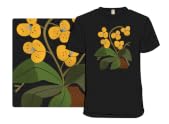 Yellow Orchid