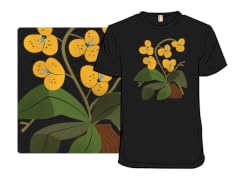 Yellow Orchid