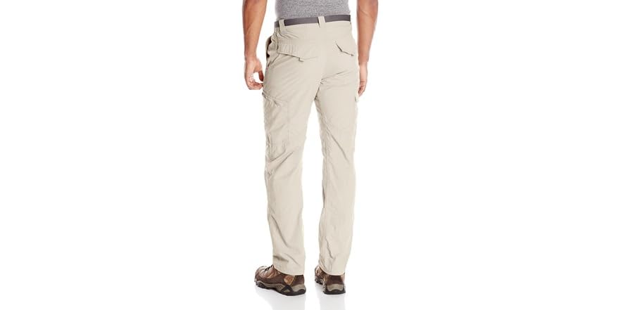Men's Silver Ridge Big & Tall Cargo Pants