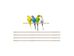 New Natural Wood Perches for Bird Cage, Many