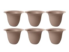 10" Modica Planter Curated, 6 pack