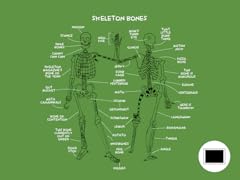 Know Your Bones Poster