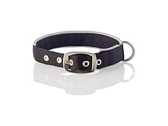 Pet Passion Silver Trimmed Dog Collar