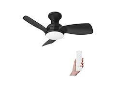 Consciot Ceiling Fan With Lights 30 Inch, Black