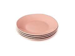 Desert Rose 11" Stoneware Dinner Plates 