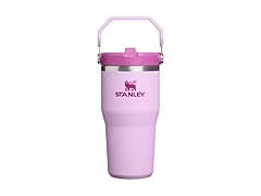 Stanley IceFlow 2.0 Flip Straw Tumbler, 20oz, Soft Orchid