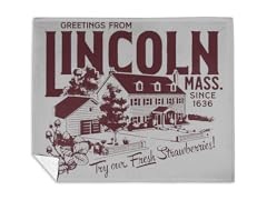 Greetings From Lincoln Mink Fleece Blanket