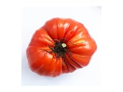 Large Red Heirloom Tomato Seeds 150pc