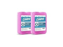 Cool Coolers Ice Packs 8pk Purple