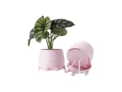 TOPOLA Happy Face Planter