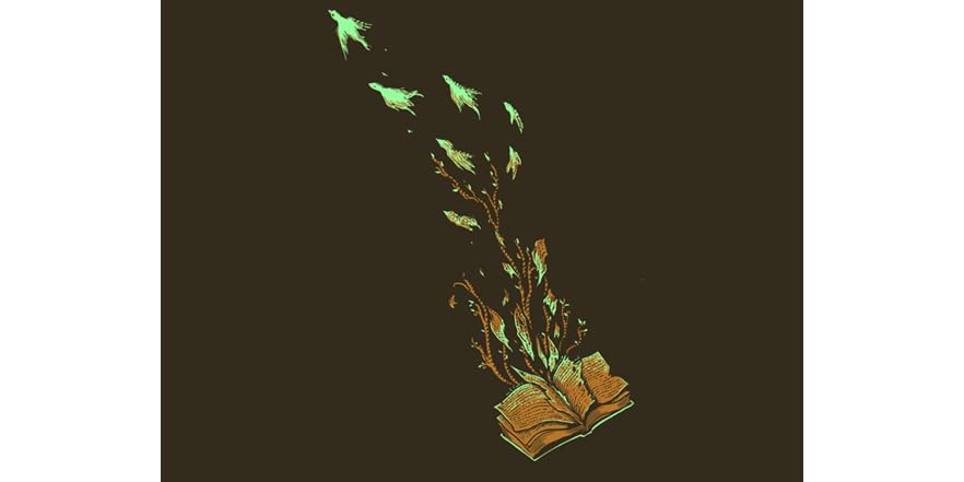 Imagination Takes Flight