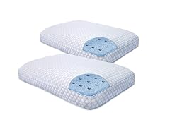 Sensorpedic 2Pk Regal Oversized Pillows