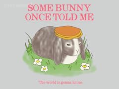 Some Bunny Once Told Me