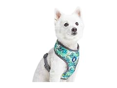 Blueberry Pet Essentials Soft & Comfy Bahama