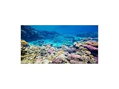 AWERT Aquarium Background Coral Ree