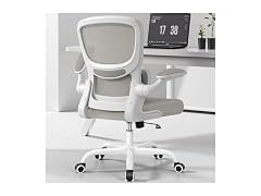 Bestfair W0893 2202 Office Chair LightGray